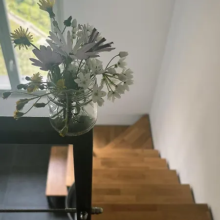 Apartamento La Scuoletta Sea View & Relax 5 Terre