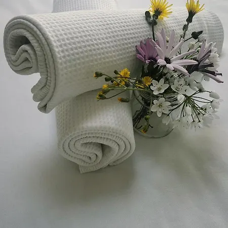 La Scuoletta Sea View & Relax 5 Terre